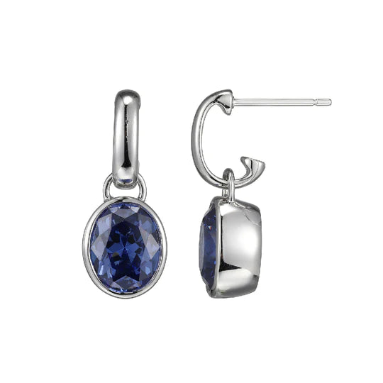 Premium Jewelry At Special Low Prices For A Limited Time SS Earrings with Tanzanite Crystal